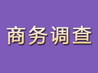 永清商务调查